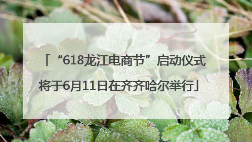 “618龙江电商节”启动仪式将于6月11日在齐齐哈尔举行