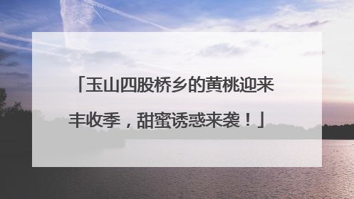 玉山四股桥乡的黄桃迎来丰收季，甜蜜诱惑来袭！