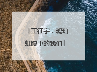 王征宇：琥珀虹膜中的我们