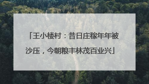 王小楼村：昔日庄稼年年被沙压，今朝粮丰林茂百业兴