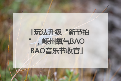 玩法升级“新节拍”，嵊州氧气BAOBAO音乐节收官
