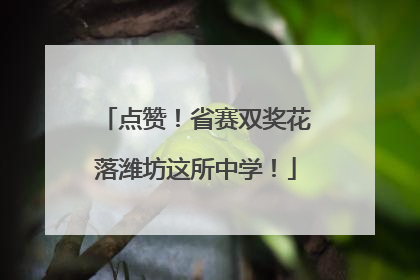 点赞！省赛双奖花落潍坊这所中学！