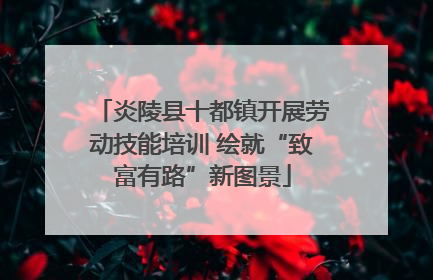 炎陵县十都镇开展劳动技能培训 绘就“致富有路”新图景