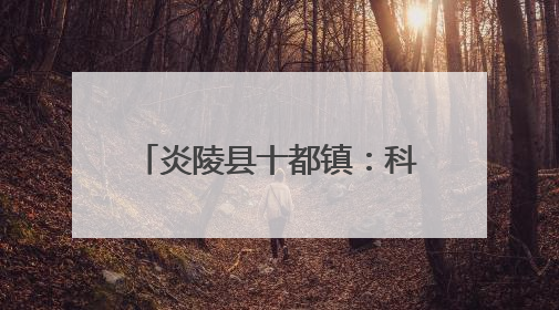 炎陵县十都镇：科技赋能农耕 绘就美丽乡村新画卷