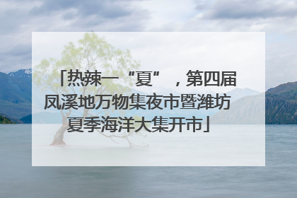 热辣一“夏”，第四届凤溪地万物集夜市暨潍坊夏季海洋大集开市