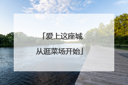 爱上这座城 从逛菜场开始