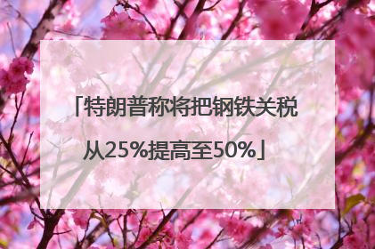 特朗普称将把钢铁关税从25%提高至50%