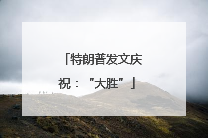特朗普发文庆祝：“大胜”
