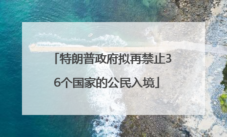 特朗普政府拟再禁止36个国家的公民入境