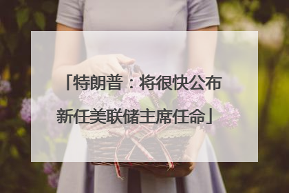 特朗普：将很快公布新任美联储主席任命