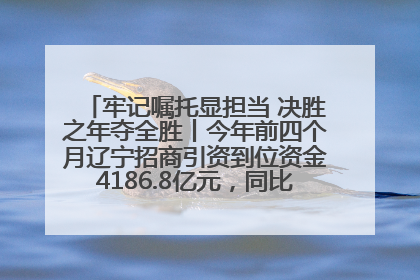 牢记嘱托显担当 决胜之年夺全胜丨今年前四个月辽宁招商引资到位资金4186.8亿元，同比增长17.4%