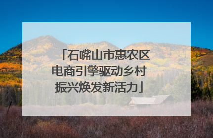 石嘴山市惠农区电商引擎驱动乡村振兴焕发新活力