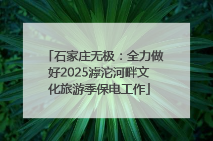 石家庄无极：全力做好2025滹沱河畔文化旅游季保电工作