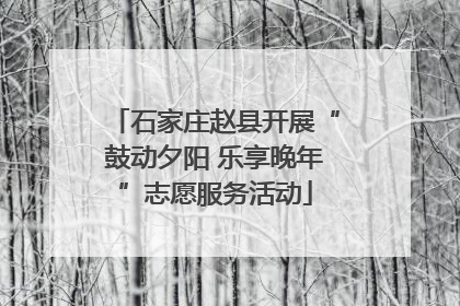 石家庄赵县开展“鼓动夕阳 乐享晚年”志愿服务活动