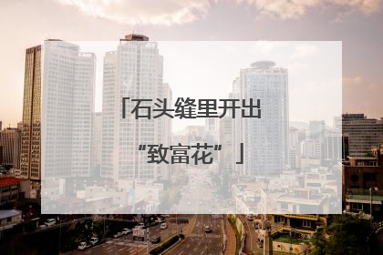 石头缝里开出“致富花”