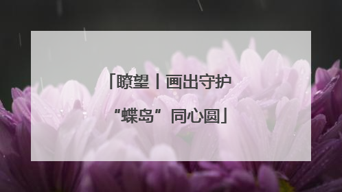 瞭望丨画出守护“蝶岛”同心圆