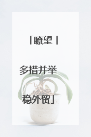 瞭望丨多措并举稳外贸