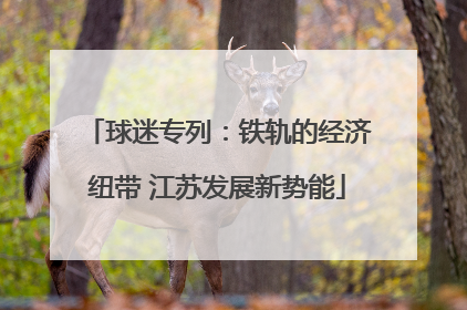 球迷专列：铁轨的经济纽带 江苏发展新势能