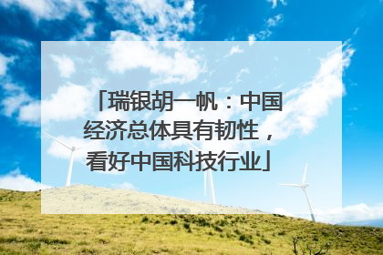 瑞银胡一帆：中国经济总体具有韧性，看好中国科技行业