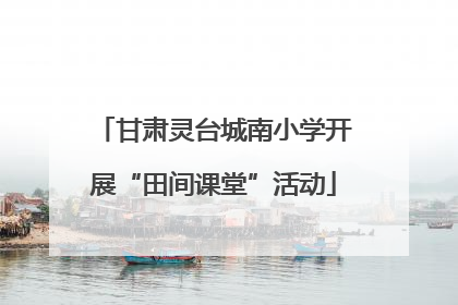 甘肃灵台城南小学开展“田间课堂”活动