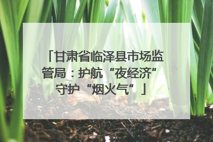 甘肃省临泽县市场监管局：护航“夜经济” 守护“烟火气”