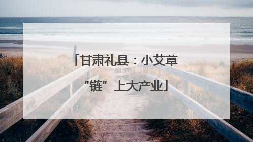 甘肃礼县：小艾草“链”上大产业