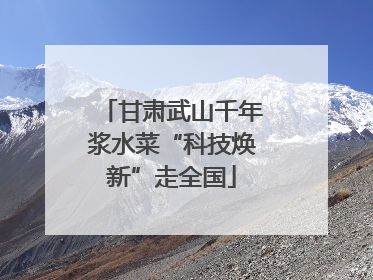 甘肃武山千年浆水菜“科技焕新”走全国