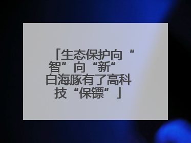 生态保护向“智”向“新” 白海豚有了高科技“保镖”
