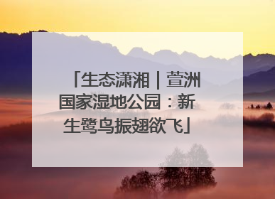 生态潇湘｜萱洲国家湿地公园：新生鹭鸟振翅欲飞