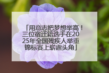 用意志把梦想举高！三位宿迁籍选手在2025年全国残疾人举重锦标赛上崭露头角