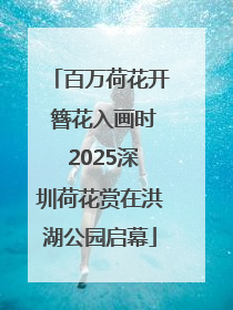 百万荷花开 簪花入画时 2025深圳荷花赏在洪湖公园启幕