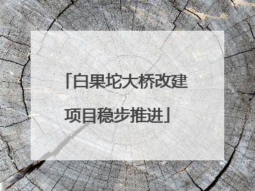 白果坨大桥改建项目稳步推进