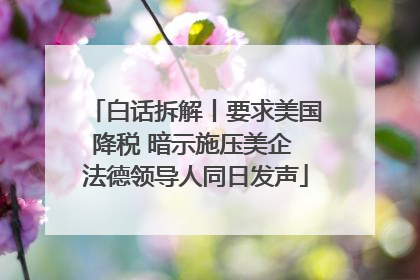 白话拆解丨要求美国降税 暗示施压美企 法德领导人同日发声