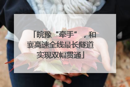 皖豫“牵手”，和襄高速全线最长隧道实现双幅贯通