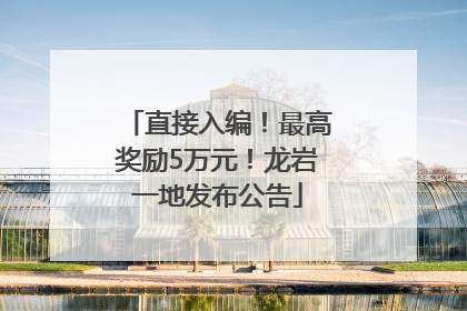 直接入编！最高奖励5万元！龙岩一地发布公告