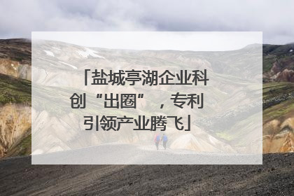 盐城亭湖企业科创“出圈”，专利引领产业腾飞