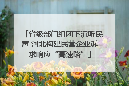 省级部门组团下沉听民声 河北构建民营企业诉求响应“高速路”
