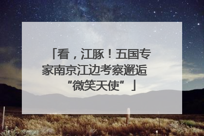 看，江豚！五国专家南京江边考察邂逅“微笑天使”