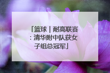 篮球｜耐高联赛：清华附中队获女子组总冠军