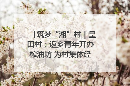 筑梦“湘”村｜皇田村：返乡青年开办榨油坊 为村集体经济“加油”