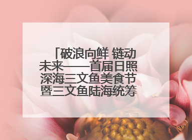 破浪向鲜 链动未来——首届日照深海三文鱼美食节暨三文鱼陆海统筹全产业链发展会议嘉宾访谈