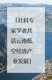社科专家学者共话云南低空经济产业发展