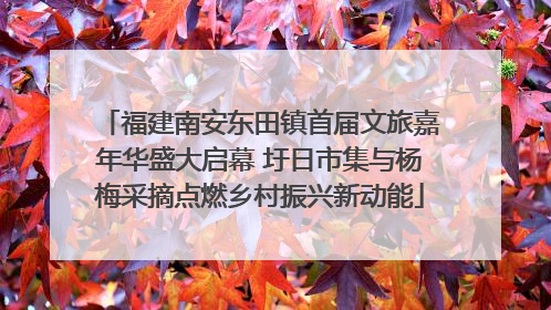 福建南安东田镇首届文旅嘉年华盛大启幕 圩日市集与杨梅采摘点燃乡村振兴新动能