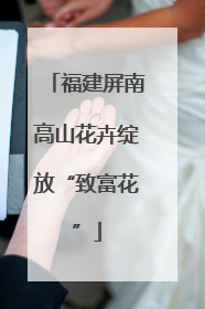 福建屏南高山花卉绽放“致富花”