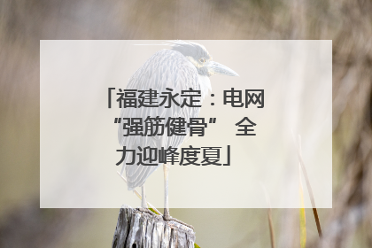 福建永定：电网“强筋健骨” 全力迎峰度夏