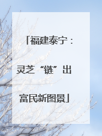 福建泰宁：灵芝“链”出富民新图景