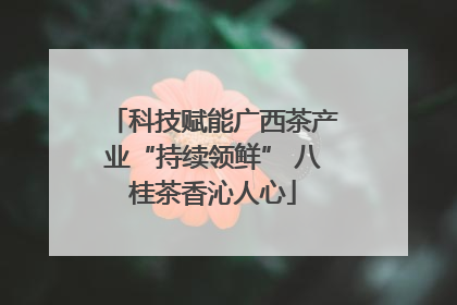 科技赋能广西茶产业“持续领鲜” 八桂茶香沁人心