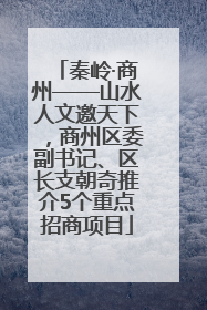 秦岭·商州——山水人文邀天下，商州区委副书记、区长支朝奇推介5个重点招商项目