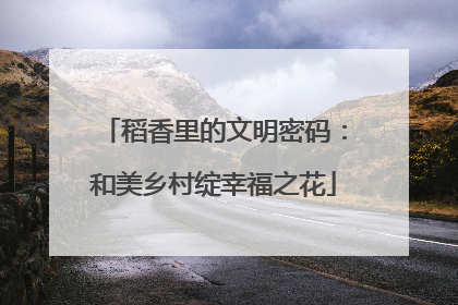 稻香里的文明密码：和美乡村绽幸福之花
