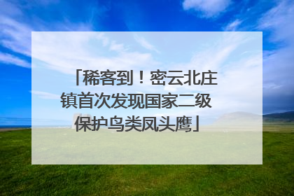 稀客到！密云北庄镇首次发现国家二级保护鸟类凤头鹰
